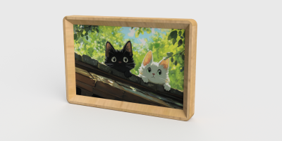 E-Photo 忆风电子相框-使用指南